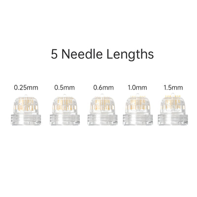 Hydra Needle HN20: Gravity-Assisted Transdermal Micro-Stamp